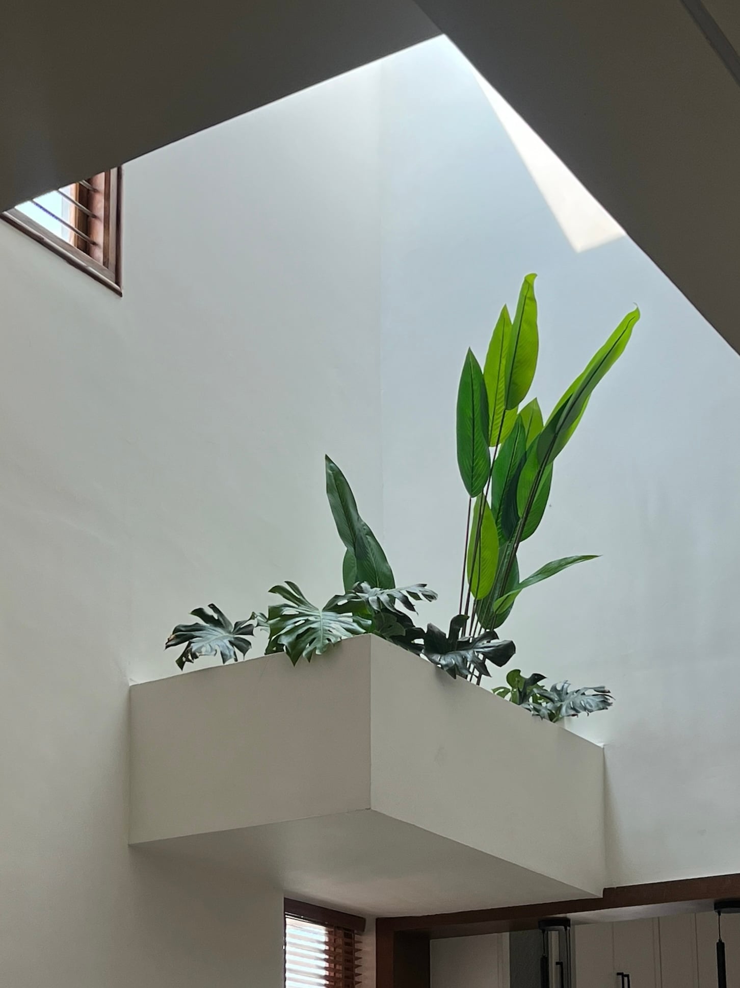 Linear House - Block 8